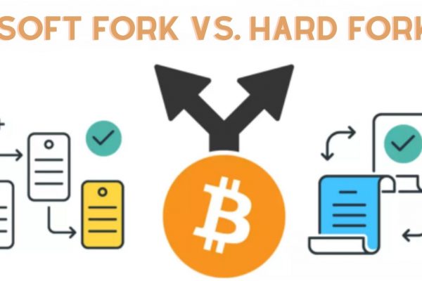 hard fork, soft fork, hard fork explained, bitcoin hard fork, fork,bitcoin fork, soft fork vs hard fork, hard fork vs soft fork, soft fork explained, what is soft fork, what is a hard fork, ethereum hard fork, hard forks, bitcoin hard fork explained, soft fork hard fork, bitcoin soft fork vs hard fork, hard fork vs soft fork español, soft forks vs hard forks, what is hard fork and soft fork, hard vs soft fork 2022